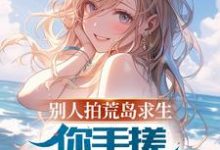 已完结小说《别人拍荒岛求生，你手搓海景别墅》章节在线阅读-艾米文学