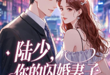 完结版《陆少,你的闪婚妻子又跑路了》章节阅读-艾米文学