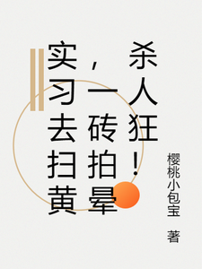 小说《实习去扫黄，一砖拍晕杀人狂！》完整版章节免费阅读