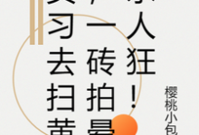 实习去扫黄,一砖拍晕杀人狂!小说最新更新在哪里?免费在线看-艾米文学