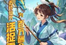 为百万酬金,去修仙界活捉霸总徐凌飞小说完结版章节在线阅读-艾米文学