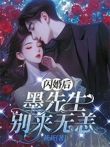闪离后：墨先生别来无恙免费阅读，闪离后：墨先生别来无恙章节目录