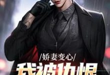 娇妻变心，我被仇恨占据了全身完整版小说免费阅读，娇妻变心，我被仇恨占据了全身小说-艾米文学