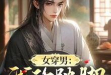 完整版《女穿男:我的跛脚童养媳》小说免费阅读-艾米文学