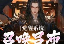 小说《觉醒系统:召唤吕布给我杀》完整版在线章节免费阅读-艾米文学