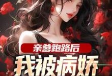 江夜小说亲爹跑路后，我被病娇女神包围了完整版阅读-艾米文学