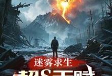 迷雾求生:超S天赋,点化万物!这本小说在哪里可以看?哪里有免费试读章节?-艾米文学