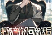 林凡完整版《把破产的公司盘活后,顺便震惊全球》小说免费阅读-艾米文学