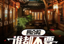 四合院谁都不要和我抢养老小说有没有完结版在线？-艾米文学
