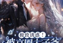 已完结小说《极致诱惑！被京圈太子爷追要名分》章节在线阅读-艾米文学