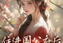 住进国公府后，我成了香饽饽！免费阅读，住进国公府后，我成了香饽饽！沈青梨魏缜-艾米文学