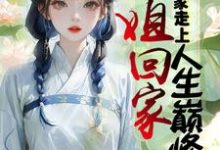 完结版《长姐回家,带领全家走上人生巅峰》章节阅读-艾米文学