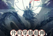 苏逸辰小说《开局穿越超神，系统非说是西游！》完整版免费阅读-艾米文学