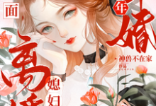 哪里能找到军婚十年不见面,媳妇离婚你慌了小说的全部章节?-艾米文学