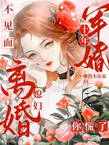 哪里能找到军婚十年不见面，媳妇离婚你慌了小说的全部章节？