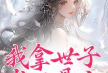 我拿世子当工具人，他拿我当夫人？小说全文哪里可以免费看？-艾米文学