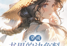 穿成书里的边角料怎么办?在线等小说全文阅读需要付费吗?寻找免费资源-艾米文学