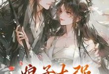 在线免费阅读娘子太强,我不想努力了完整小说-艾米文学