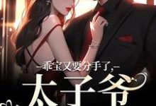 哪里可以免费找到乖宝又要分手了,太子爷求贴贴?-艾米文学