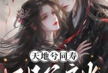 已完结小说《天地兮同寿，日月兮齐光》在线章节阅读-艾米文学