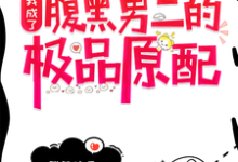 穿书:我成了腹黑男二的极品原配小说无弹窗阅读的网站推荐-艾米文学