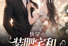 《快穿：装肥宅和男主网恋后》完整版小说免费阅读-艾米文学