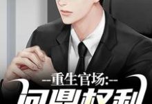 重生官场：问鼎权利之巅完整版小说，重生官场：问鼎权利之巅最新章节-艾米文学