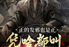 正的发邪也是正,凭啥都叫我魔头小说免费资源,正的发邪也是正,凭啥都叫我魔头在线阅读-艾米文学