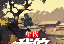 陈浩小说年代:我的1978完整版阅读-艾米文学