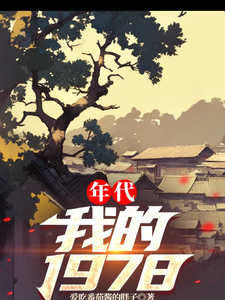 陈浩小说年代：我的1978完整版阅读