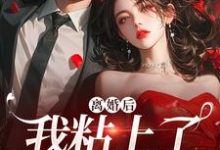舒愿陆骁小说免费阅读完整版-艾米文学