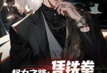 权力之路：凭铁拳，我令黑势力退避这本小说怎么样？免费在线阅读试试-艾米文学