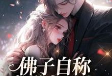 佛子自称空巢老男人？我真的笑了小说的无弹窗阅读体验，寻找免费阅读网站-艾米文学