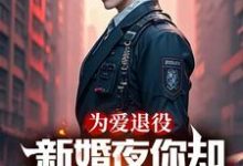 小说《为爱退役，新婚夜你却奔向白月光》在线章节阅读-艾米文学