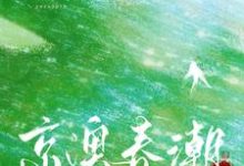 小说完整版《京澳春潮》免费阅读-艾米文学