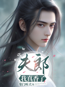 沈真意小说叫什么（夫郎，我真香了完整版免费阅读）