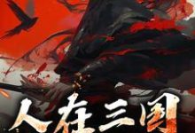 人在三国，一统江山（刘锦）完整版在线免费阅读-艾米文学