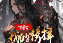 综武：我的榜样叫曹操免费阅读，综武：我的榜样叫曹操章节目录-艾米文学