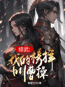 楚流风王语嫣完整版小说《综武：我的榜样叫曹操》免费阅读