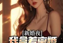 新婚夜，我拿着离婚协议黯然离场叶修远白若雪小说完结版章节在线阅读-艾米文学