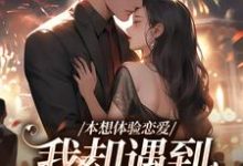 本想体验恋爱，我却遇到坑爹大佬！这本小说怎么样？免费在线阅读试试-艾米文学