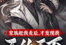 完结版《家族赶我走后，才发现我无敌天下》免费阅读-艾米文学