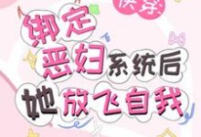 免费在线阅读快穿:绑定恶妇系统后她放飞自我小说的正规网站有哪些?-艾米文学