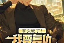 拳头硬了！我要复仇，恋爱系统是啥叶白小说完结版章节在线阅读-艾米文学