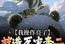 求推荐可以免费阅读被造反家李二抓住造反?我操作亮了小说的网站-艾米文学