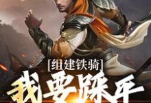 吕岩小说组建铁骑，我要踩平死对头！章节免费阅读-艾米文学