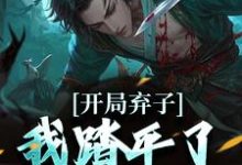 许彻小说完结版在线阅读，开局弃子，我踏平了全世界免费看-艾米文学