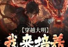 穿越大明:我来培养一代帝王任以虚,穿越大明:我来培养一代帝王章节在线阅读-艾米文学