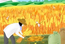谈情凶险：我苟在高武乱世显圣！方恒小说完结版章节在线阅读-艾米文学