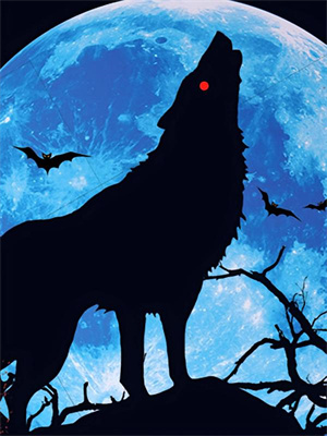 世家嫡女的现代攻略法则（沈婉沈凌）在线免费阅读